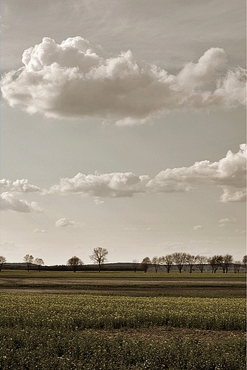 z okolic Lubska- kwiecie 2012