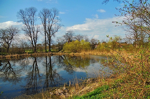 Zesp paacowo-parkowy Trzeszczany