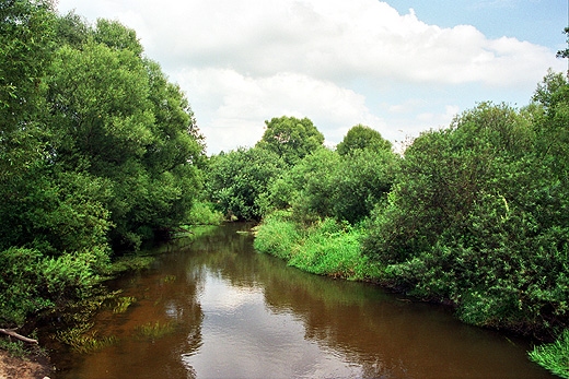 Rzeka Rawka w Suliszewie. Mazowsze