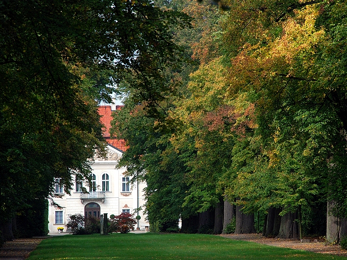 Otoczony parkiem pałac w Nieborowie