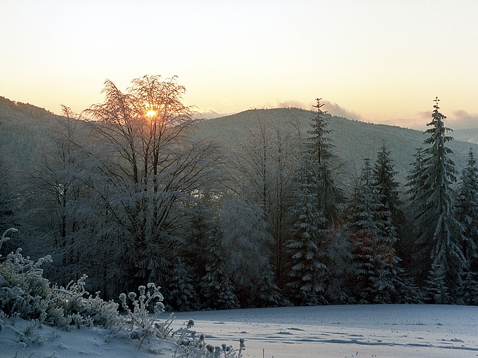 Widok ze zboczy Mogielicy