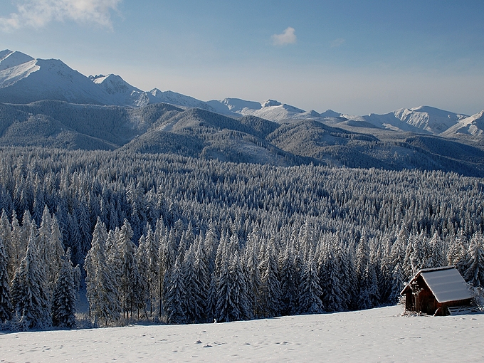 Polana Godwka - widok na Tatry