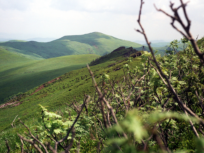 Gniazdo Tarnicy - Halicz (1333 n.p.m.) widziny z grani Krzemienia (1335 n.p.m.). Bieszczady