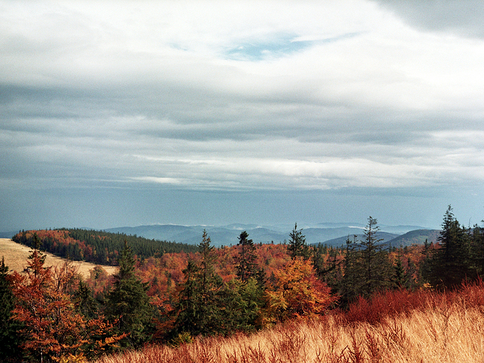 Widok z Mdralowej. Beskid ywiecki