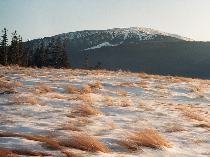 Pilsko (1557 m.n.p.m.) - widok z Hali Malorki (1051 m.n.p.m.). Beskid ywiecki