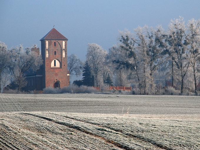Koci w mijewie