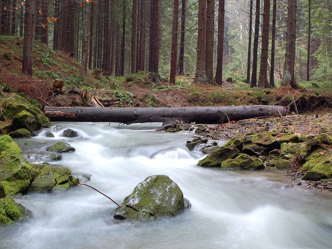 Soblwka - rzeczka Cicha. Beskid ywiecki