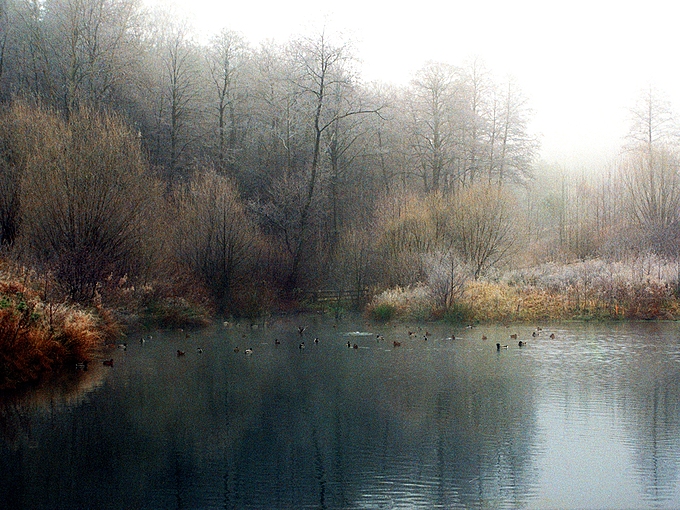 Dolina Brusienki. Roztocze