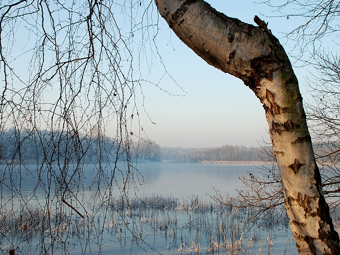 Jezioro Łąki zimą. Okolice Zbiczna