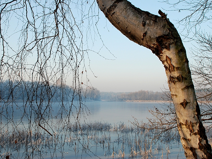 Jezioro ki zim. Okolice Zbiczna