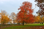 park Wejherowo