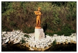 Szczebrzeszyn - pomnik synnego chrzszcza, ktry brzmi w trzcinie