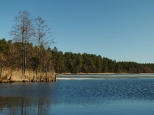Jezioro Krzywe za luz Paniewo