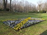 Katowice-Park Kociuszki
