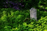 Stary cmentarz ydowski