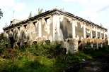 Zrujnowana synagoga w Dziaoszycach