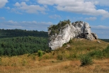 Skaa w okolicach ruin zamku w Mirowie.
