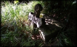 stary, opuszczony cmentarzyk