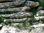 Kamienne tablice w wwozie Homole