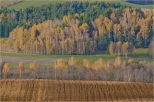 Suwalski Park Krajobrazowy jesieni.
