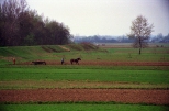 Rok 1991. Rolnicze prace na polach w Brzostkowie