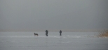 Zimowy zezon wdkarski na jeziorze Wigry nadal trwa.