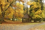 Park jesienny w Rymanowie - Zdroju