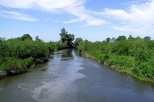 rzeka Wieprz