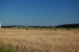 Krapkowice - Krajobraz po niwach
