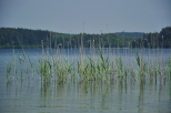Jezioro Biae Wigierskie