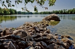 Jezioro Dugie Krasnopolskie.
