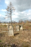 Bodzentyn - cmentarz ydowski