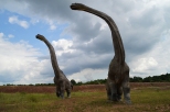 Krasiejw - Brachiosaurus