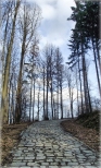 Droga do wiey ulokowanej nad jeziorem Lubachowskim