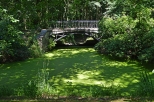 Moszna - mostek nad kanaem w parku
