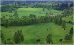 Gra Parkowa w Mieroszowie- widoki z wiey widokowej