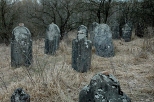 Chciny - nagrobki na cmentarzu  ydowskim