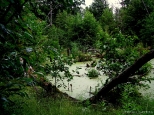 Rezerwat przyrody Jezioro uknajno-teren uznany za rezerwat przyrody ornitologicznej w 1947r.