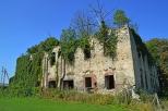 Zakrzw - Ruiny zamku