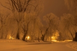 czycki Park w zimowej szacie