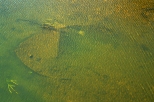 Krapkowice - Osoboga, zatopiona barka pod mostem