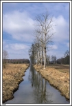 Trba - pierwsze wiosenne promyki soca nad rzek Oobok