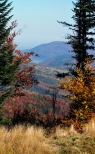 Jesienny widok na Gaiki z Magurki  w Beskidzie Maym.