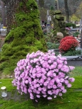 Na cegowskim cmentarzu