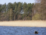 Jezioro Brzozolasek niedaleko Pisza