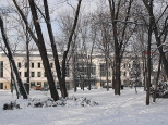 zima 2010 w Radomiu