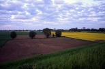 pola w Kiezmarku