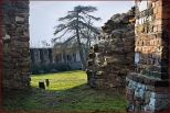 Zamek w Toszku - fragment ruin