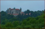 Nowy Winicz - Zamek nad rzek Leksandrwk