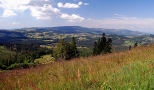 Panorama Baraniej Gry z trasy Zwardo-Rachowiec.